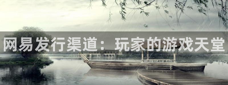 杏耀官网官网注册账号是什么：网易发行渠道：玩家的游戏天堂