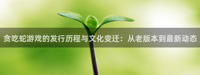 杏耀官网是赌博么