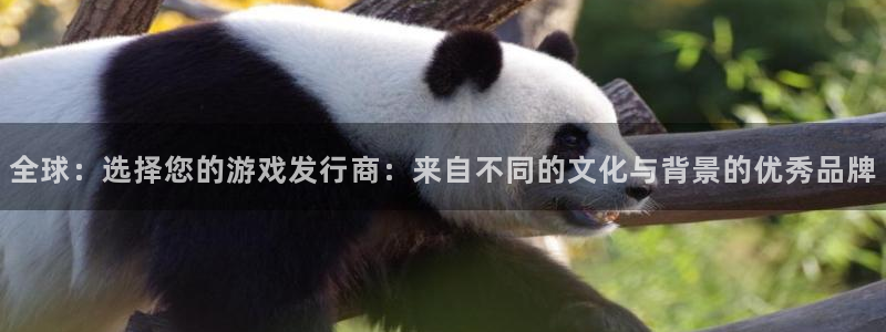 杏耀官网注册平台登录：全球：选择您的游戏发行商：来自不同的文化与背景的优秀品牌