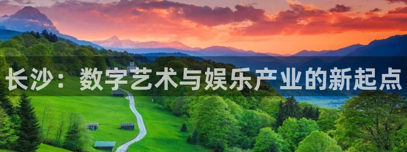 顺德杏耀电商：长沙：数字艺术与娱乐产业的新起点