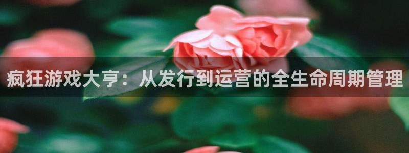 杏耀球队