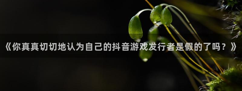 杏耀官网平台代理开号流程