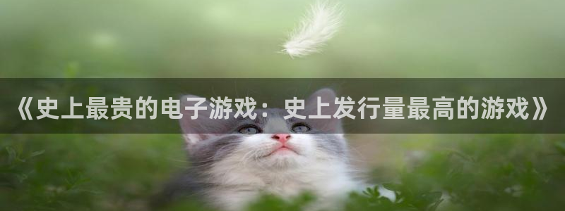 陕西省西安市杏耀子文化创意：《史上最贵的电子游戏：史上发行量最高的游戏》