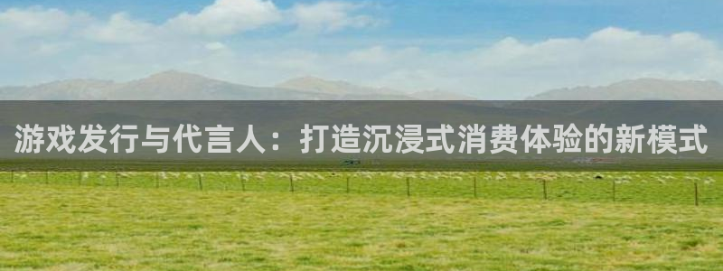 南京杏耀子电子商务有限公司：游戏发行与代言人：打造沉浸式消费体验的新模式