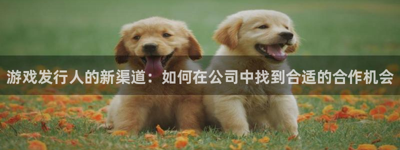 杏耀官网客服招聘