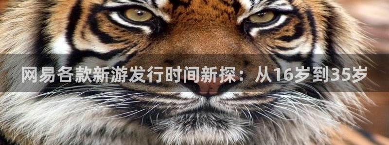 杏耀官网平台代理开号怎么开