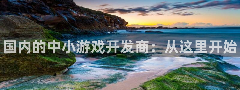 陕西杏耀子文化公司加我qq：国内的中小游戏开发商：从这里开始