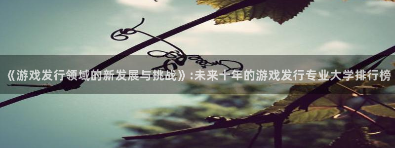 杏耀官网注册登录：《游戏发行领域的新发展与挑战》:未来十年的游戏发行专业大学排行榜