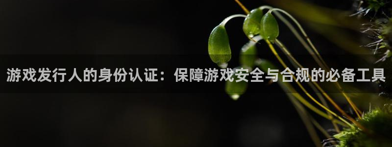 杏耀子经理人读后感