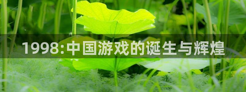 陕西杏耀子文化创意干啥的