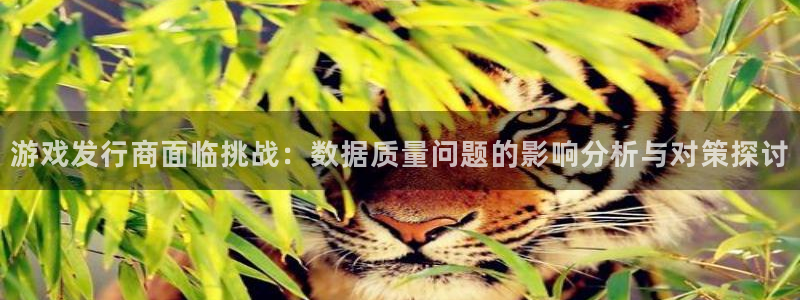 杏耀运动装有哪些品牌