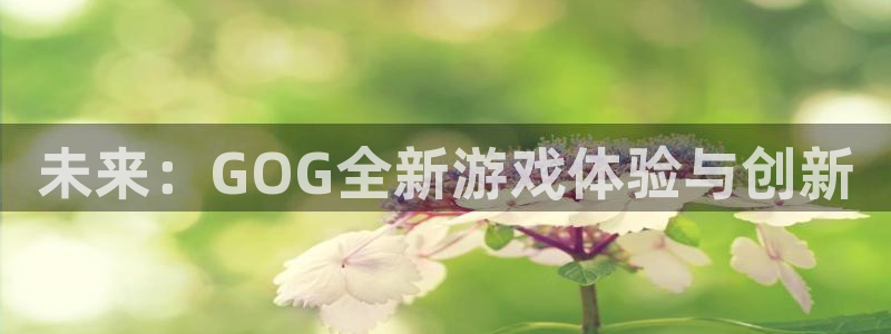 杏耀官网是境外的吗