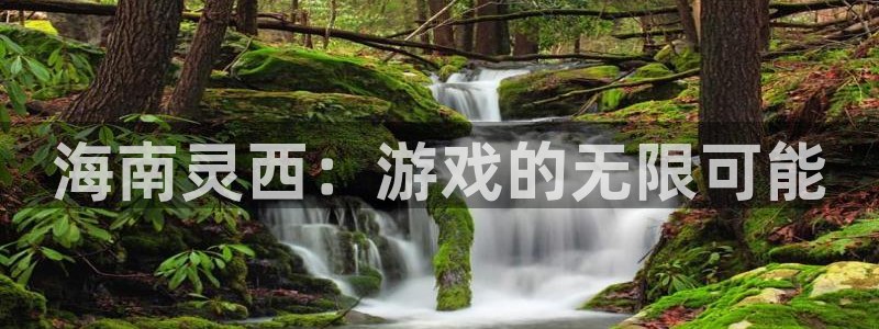 广州杏耀网络科技有限公司招聘