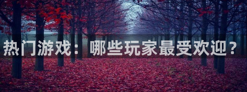 杏耀品牌策划公司