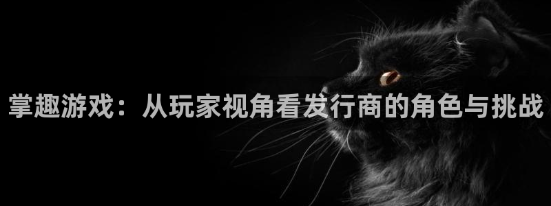 陕西杏耀子文化创意有限公司是做什么的