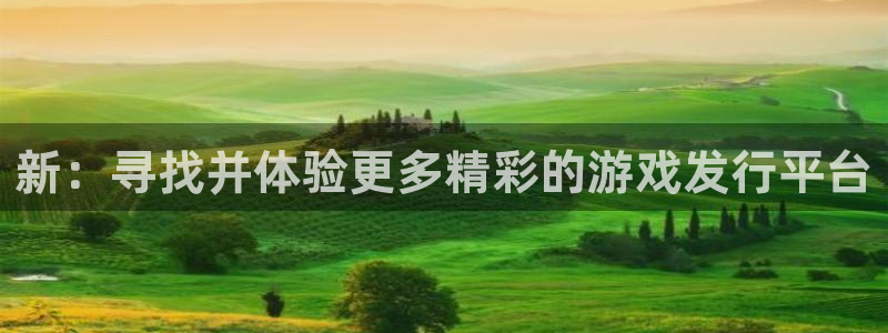 杏耀智邦(北京)品牌策划有限公司