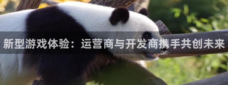 杏耀官网代理注册地址：新型游戏体验：运营商与开发商携手共创未来